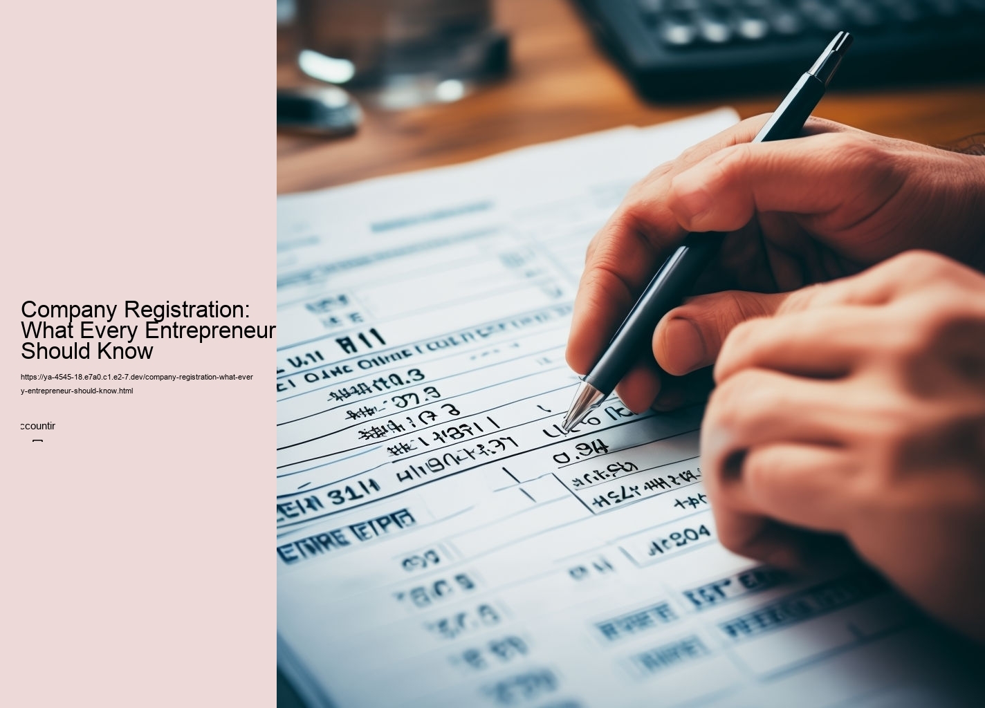 Company Registration: What Every Entrepreneur Should Know