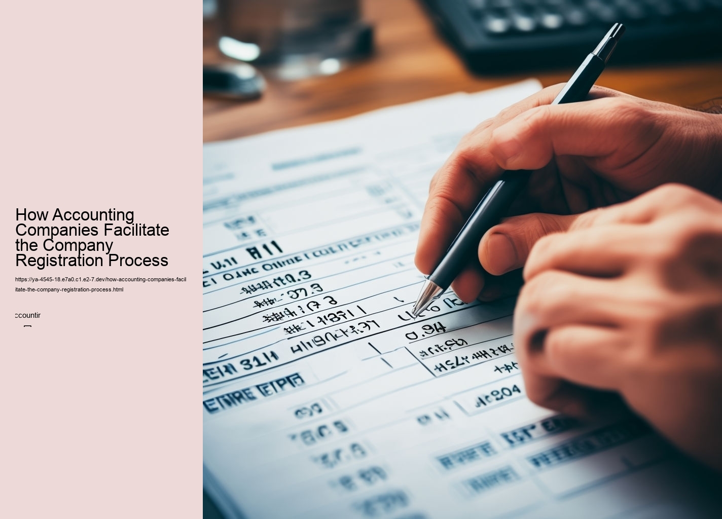 How Accounting Companies Facilitate the Company Registration Process